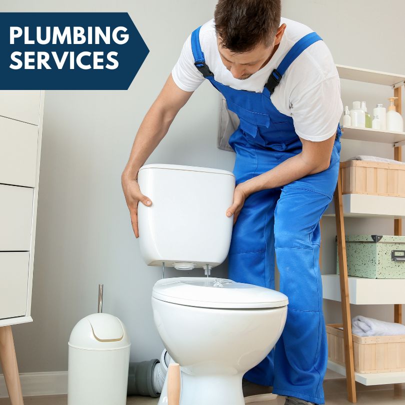 Plumbing Company in Henderson, MD